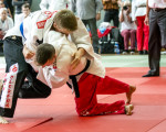 kodokan olsberg 20160904 1108238916