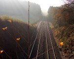 20071009 1404877966 rote bruecke nebel
