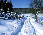 20071112 2037220484 winter zum tretbecken