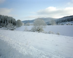 20071219 2060417655 winterlandschaft