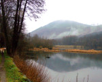 20080128 1900675884 ruhrstausee im  nebel