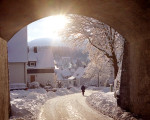 20080202 1132626315 winter wrosenk3