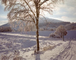 20080202 1473869261 winter wrosenk2