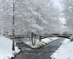 20081124 1684733900 ruhr giersk winter