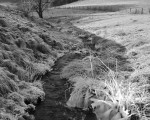 20081231 1309135805 sitterbach31 12 08