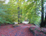 am borberg 20130305 1123605082