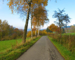 birkenweg 20111202 1150175490