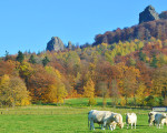 bruchhauser steine 20111031 2038638082