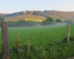 eisenberg 20111117 1965342928