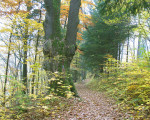 wanderweg am ruhrstausee 20111117 1146108184