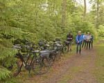 pfingstmesse borberg int
