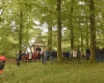 pfingstmesse borberg int
