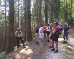 sauerlaender wanderlust im august 2019 20190827 1535187811
