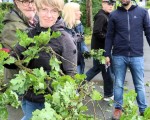 1 kraenzen 12.jun. 2026  