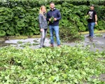 1 kraenzen 12.jun. 2026  