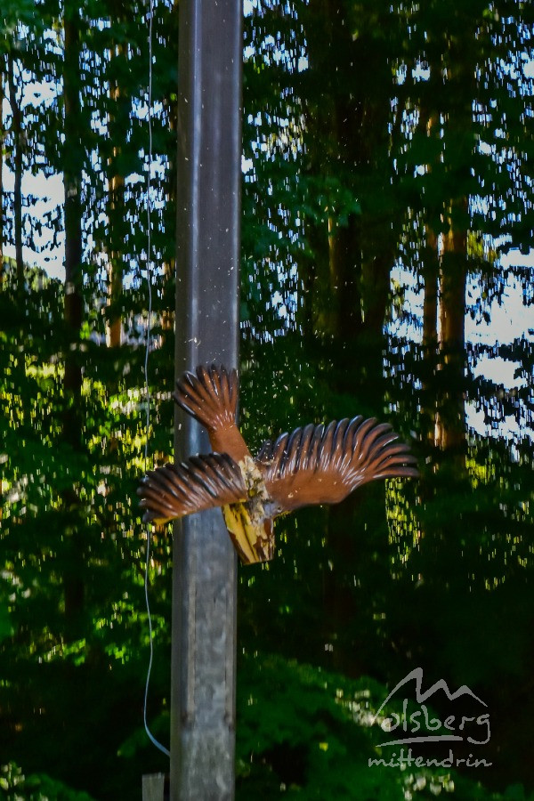 20250630 schuetzenfest montag jst 20250630 schuetzenfest montag jst