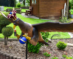 20240528 vogel abholen jst