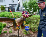 20240528 vogel abholen jst
