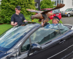20240528 vogel abholen jstn