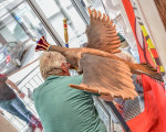 20240528 vogel abholen jst