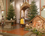 sternsinger24int102