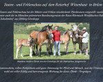 stutenschauint10167