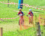 31 tsv kids race