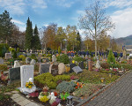  20161113 2059738674