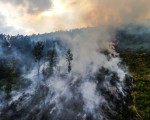 20260810 waldbrand dji w