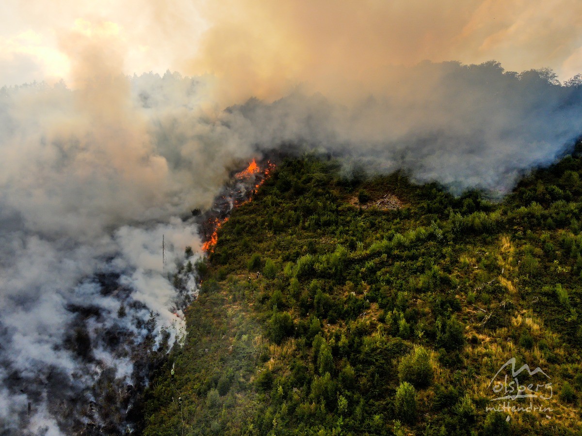 20260810 waldbrand dji w