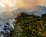 20260810 waldbrand dji w
