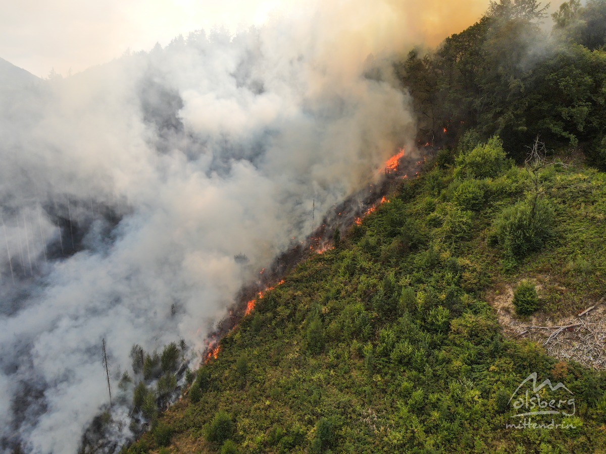 20260810 waldbrand dji w