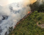 20260810 waldbrand dji w