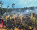 20260810 waldbrand dsc