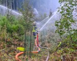 20260810 waldbrand dsc