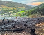 20260813 waldbrand img