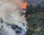 20260813 waldbrand img