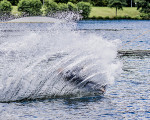 wasserskifahren am hillebachsee 20160805 1822925149