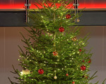 weihnachtskonzert24int113