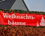 20251214 weihnachtsmarkt 2025 jst