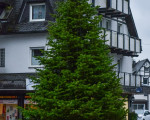 20241206 weihnachtsmarkt jst