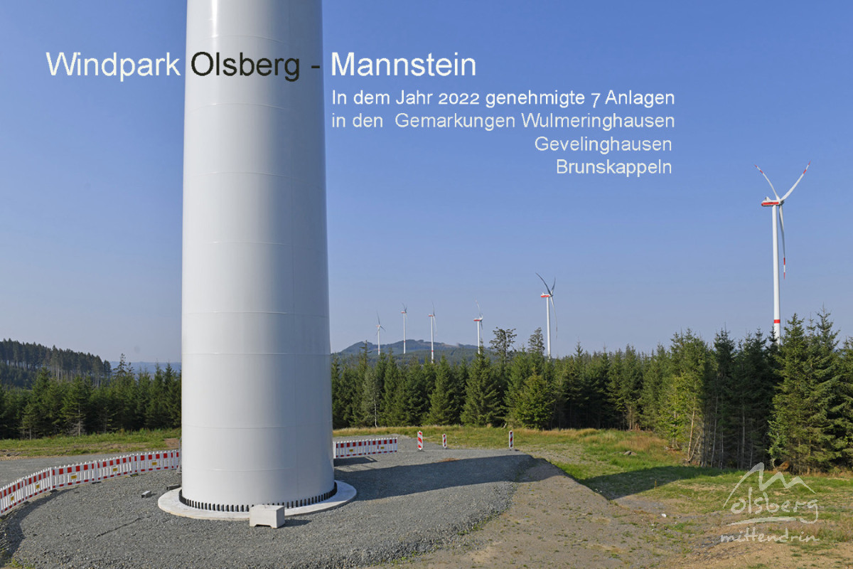 mannsteinint101