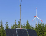 mannsteinint104