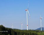 mannsteinint105