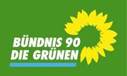 Die-Gruenen-Web.jpg