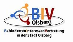BIVWeb.jpg