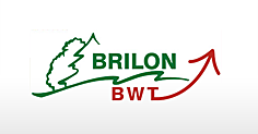BWT_logo.png