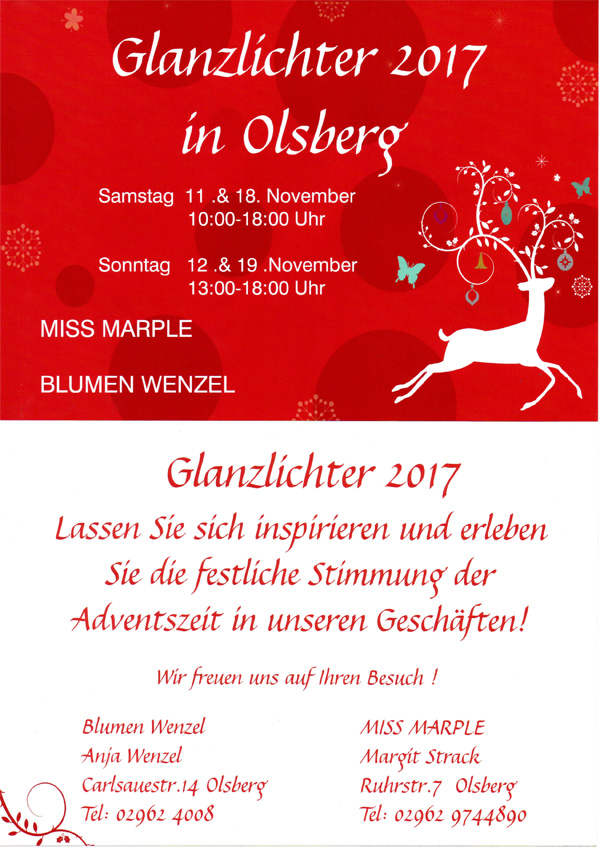Glanzlichter17