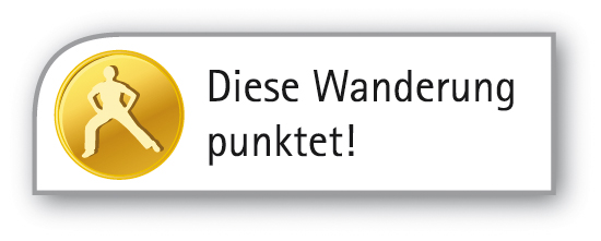 ID 359 Icon Kasten Punktet pfade Kopie