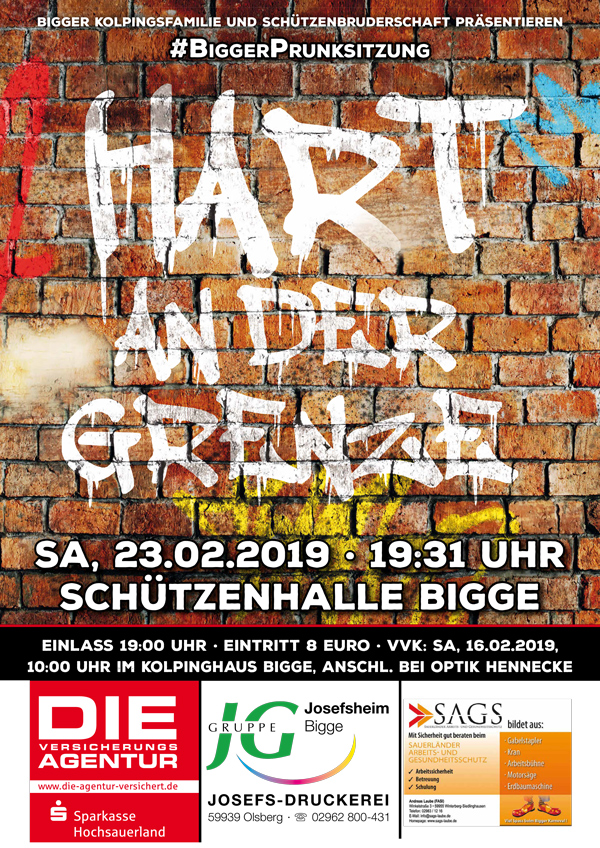Plakat Bigger Karneval 2019Web